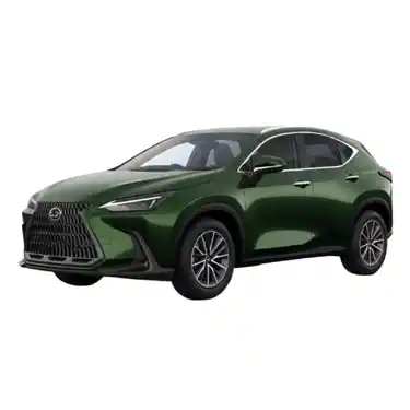 Lexus NX w BEEP.rent