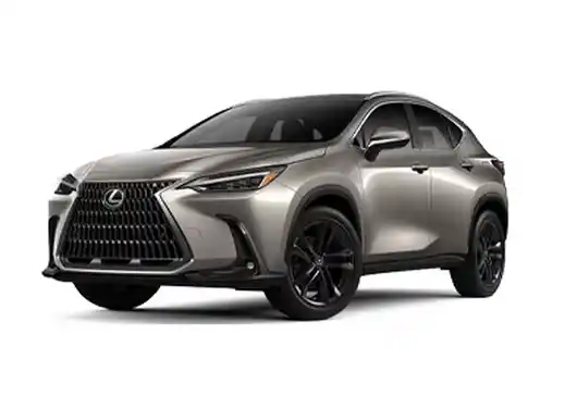 Lexus NX w BEEP.rent