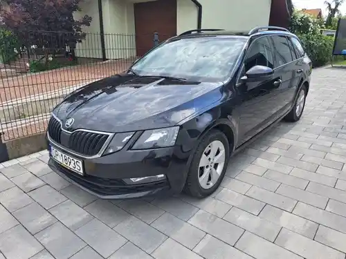 Skoda Octavia w BEEP.rent